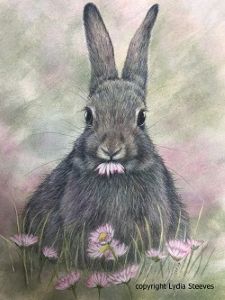 Salad Fixins CP E-Packet